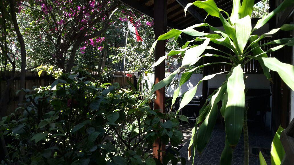 Dili Gili Bed & Breakfast Gili Trawangan Exterior foto